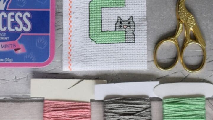 embroidered c is for cat cross stitch surrounded by scissors, thread and a tin