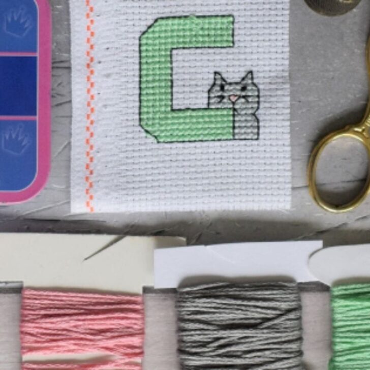 embroidered c is for cat cross stitch surrounded by scissors, thread and a tin