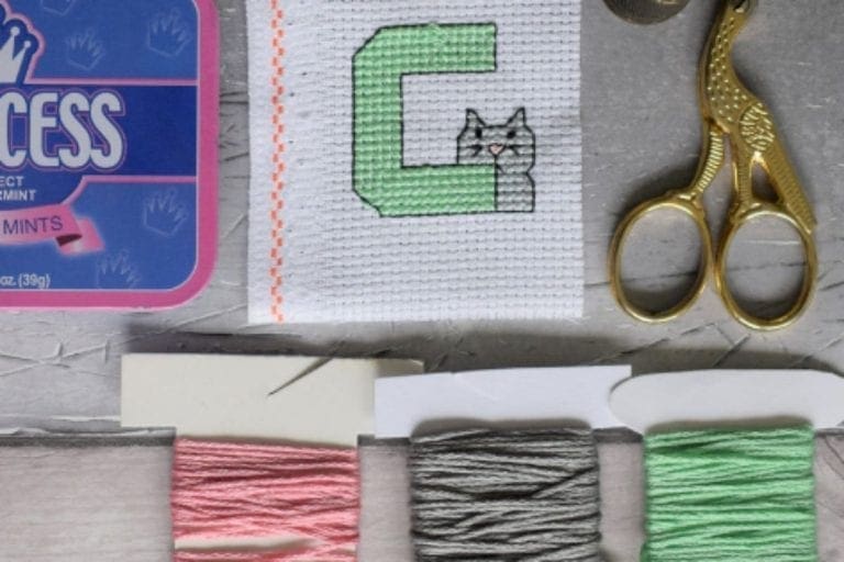 embroidered c is for cat cross stitch surrounded by scissors, thread and a tin