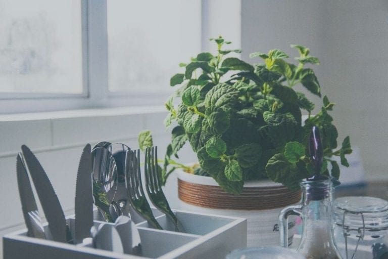 7 Eco friendly kitchen ideas