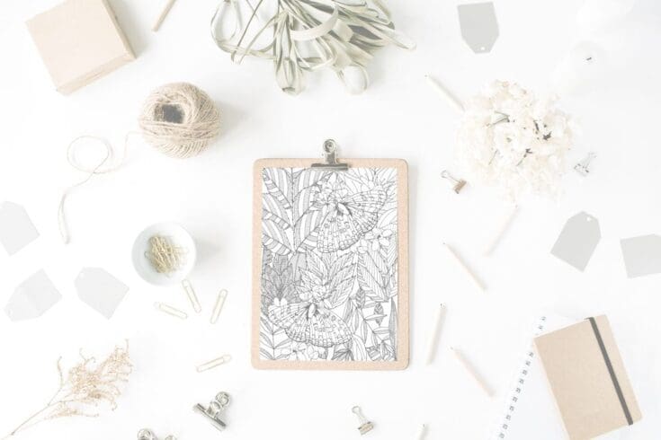 Image for 4 free printable butterfly colouring sheets