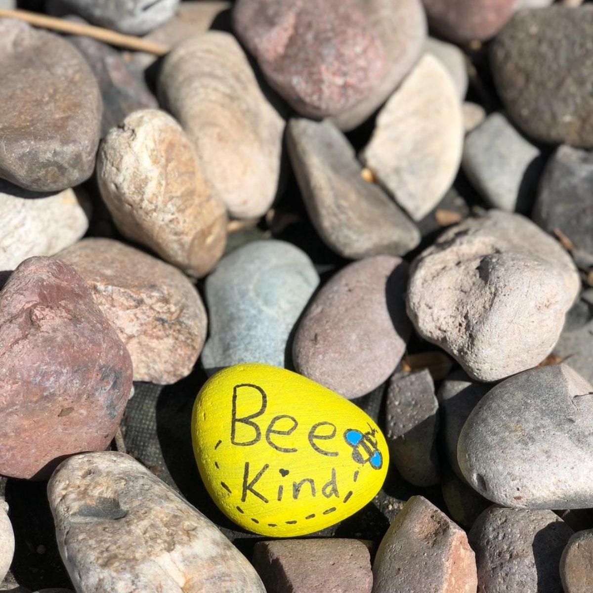 20 projects with craft pebbles