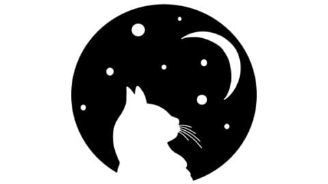 Image for Cat and Moon SVG Cut file by Creative Fabrica Crafts · Creative Fabrica