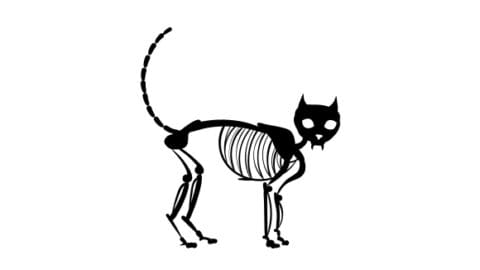 Image for Skeleton Animal SVG Cut file by Creative Fabrica Crafts · Creative Fabrica