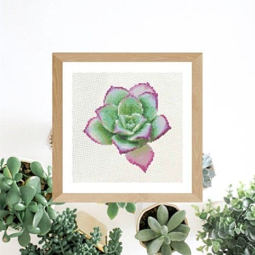 Image for Pink & Green Spring Succulent | Cross Stitch Pattern