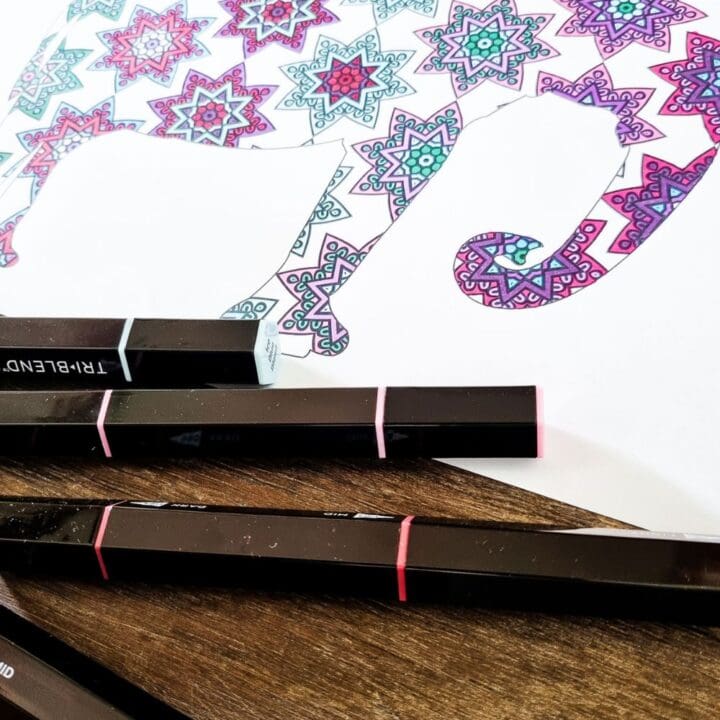 Image for 16 elephant mandalas to colour
