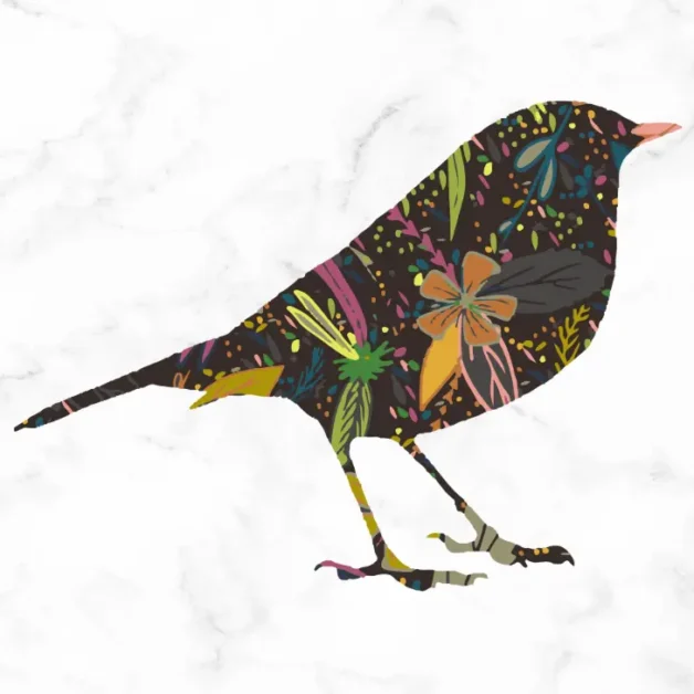 Floral Robin sublimation PNG (free)