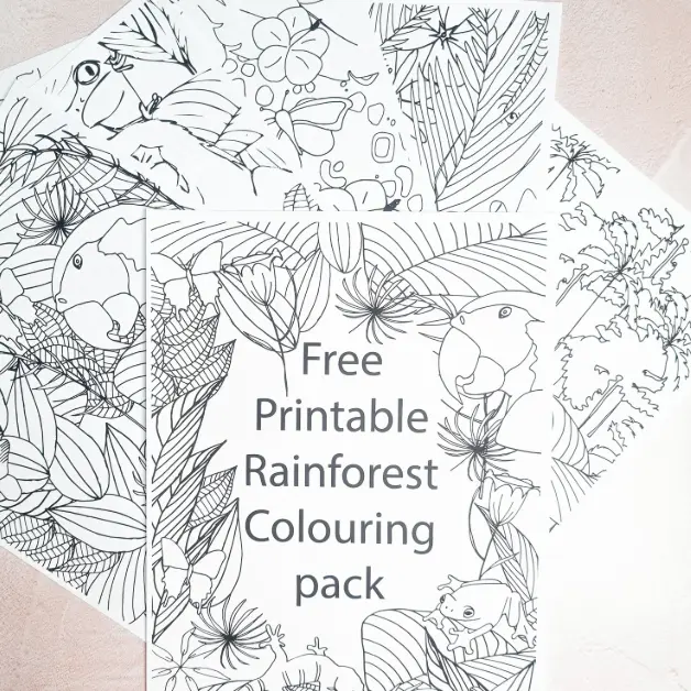 FREE Rainforest printable colouring sheets