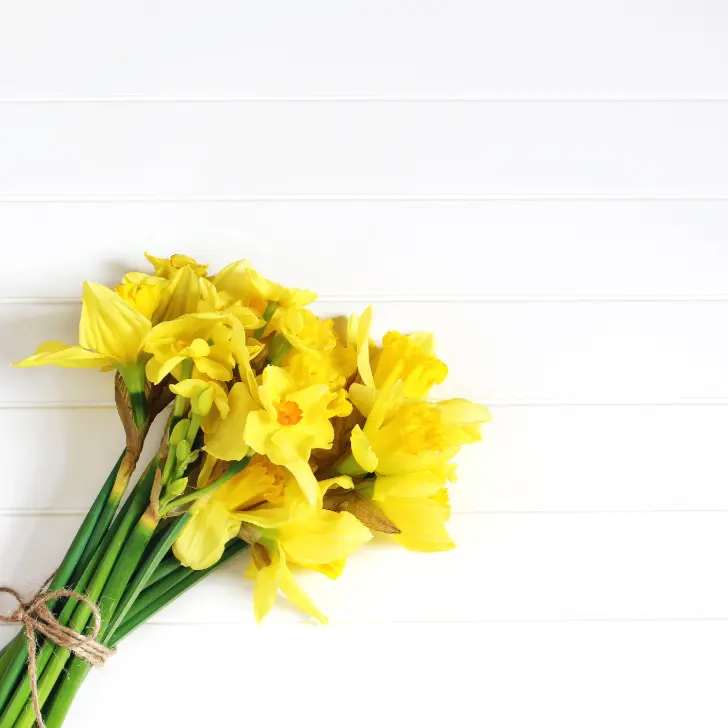 Top 10 St David’s Day crafts