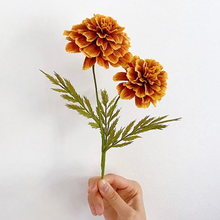 Image for DIY KIT Handmade Crepe Paper French Marigold Flower's Kit With Video Tutorial 