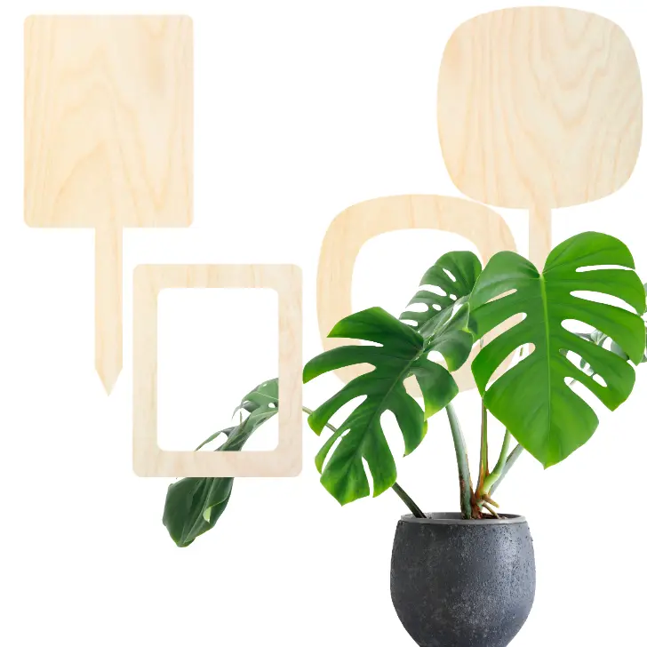 Free SVG Plant Stake Picture Frame – DIY Garden Gift